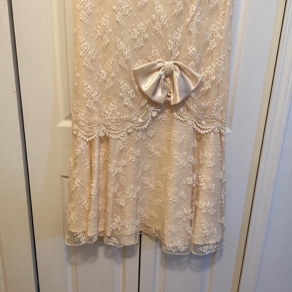 BARBARA CHODOS FOR MICHAEL MARCELLA SIZE 14 BEIGE LACE over BEIGE SATIN LOVELY - Picture 3 of 8